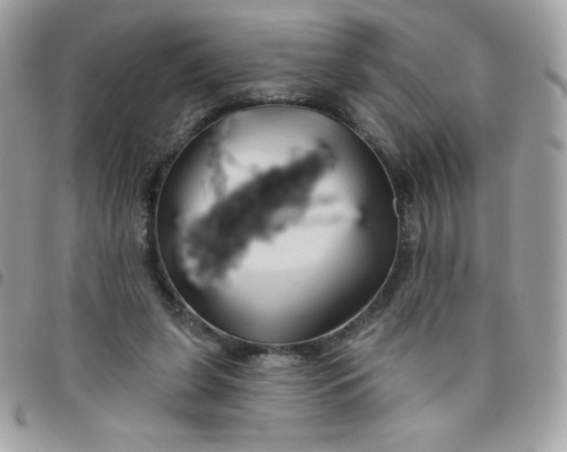 X0000097750255200803211658