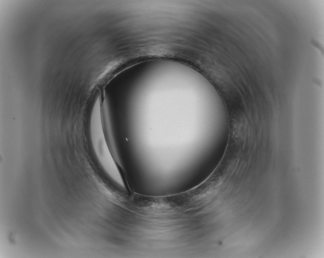 X0000097750256200803211658