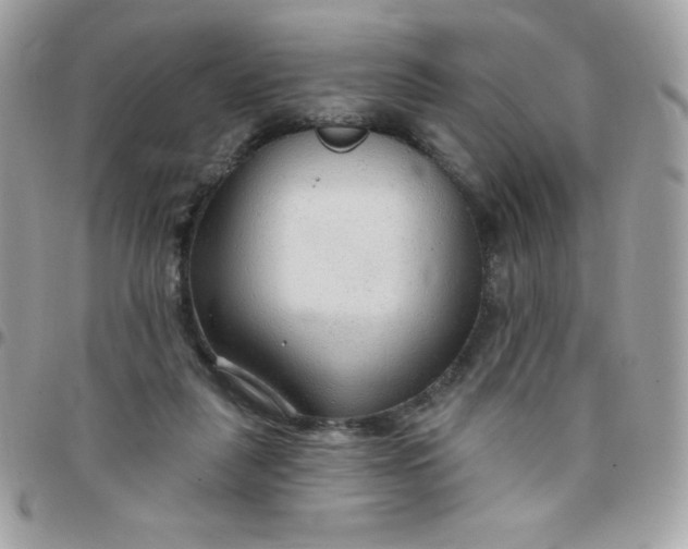 X0000097750259200803211658