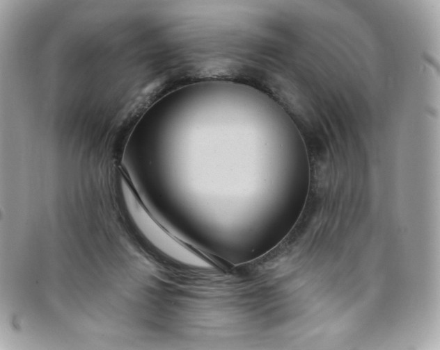 X0000097750260200803211658