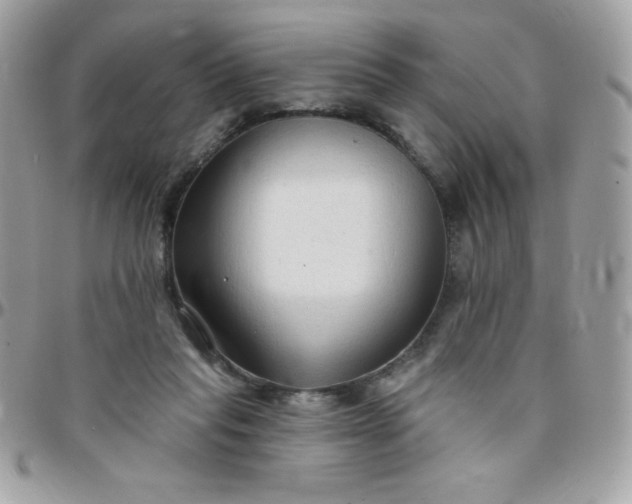 X0000097750261200803211658