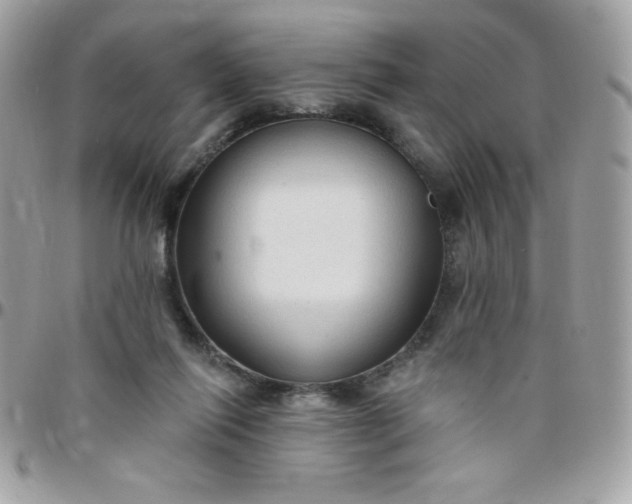 X0000097750262200803211658