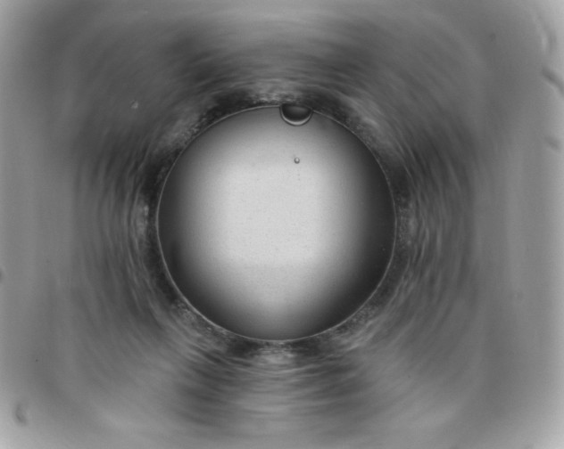 X0000097750263200803211658