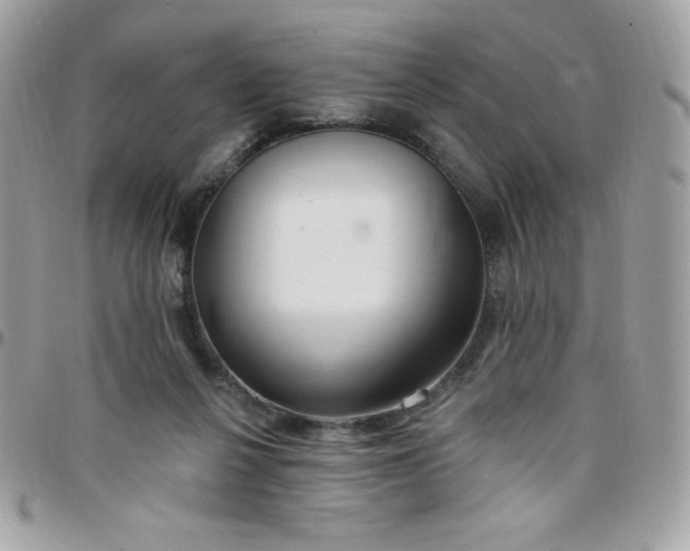 X0000097750264200803211658