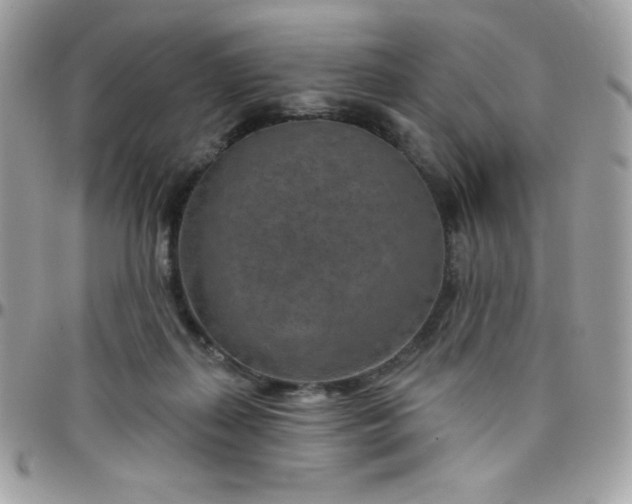 X0000097750267200803211658