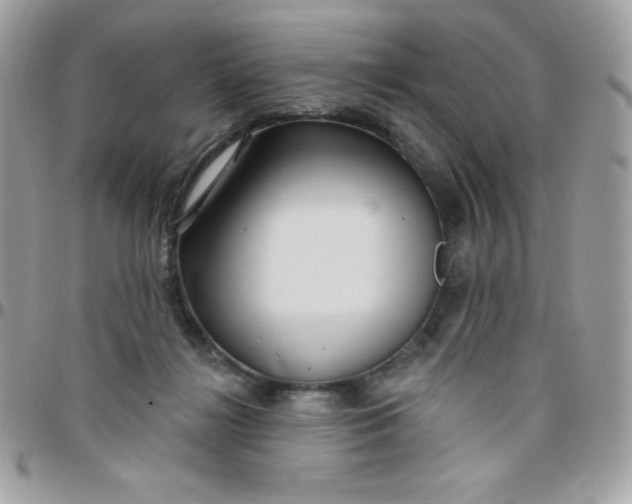 X0000097750268200803211658