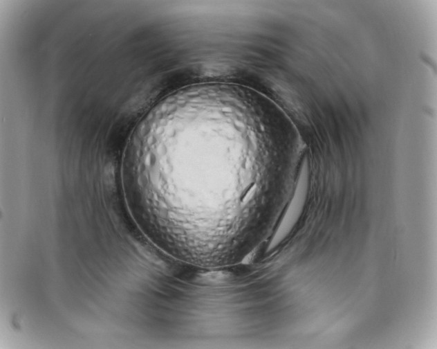 X0000097750269200803211658