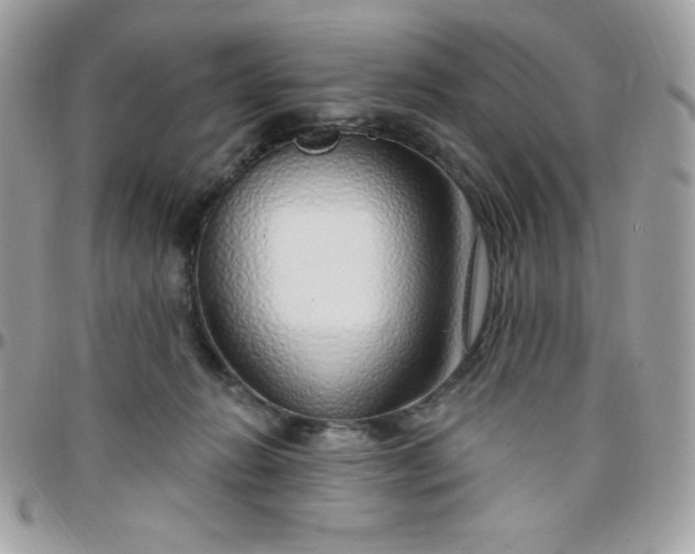 X0000097750270200803211658