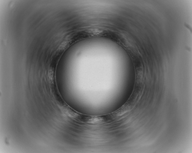 X0000097750274200803211658