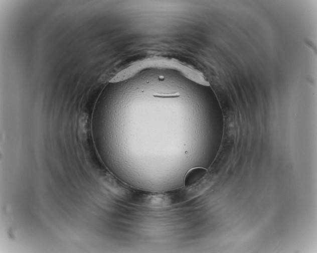 X0000097750275200803211658