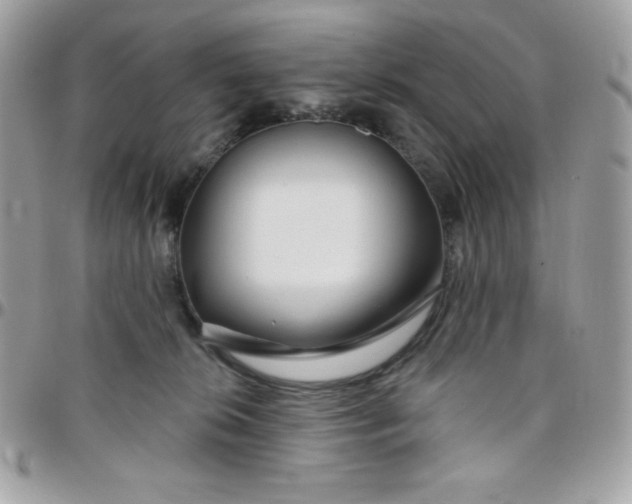 X0000097750276200803211658