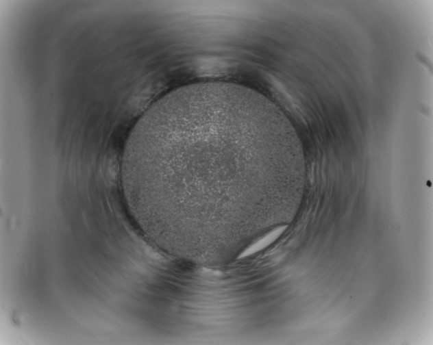 X0000097750277200803211658