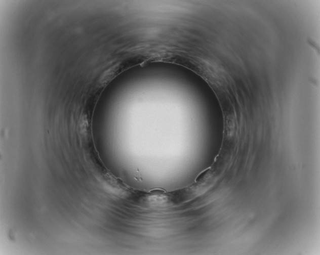 X0000097750279200803211658