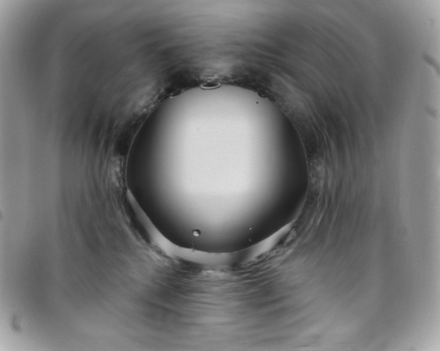 X0000097750280200803211658