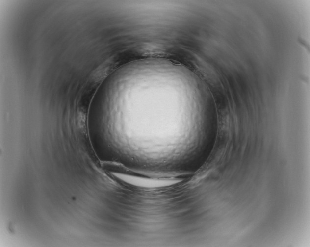 X0000097750281200803211659