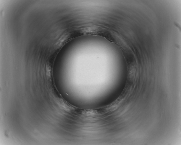 X0000097750282200803211659