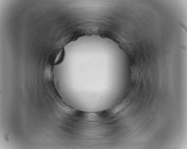 X0000097750287200803211659