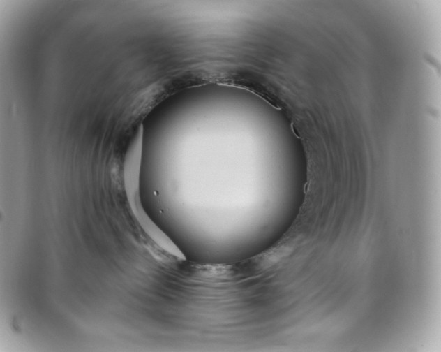 X0000097750288200803211659