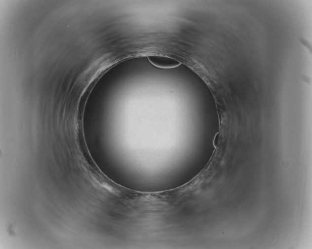 X0000097750290200803211658