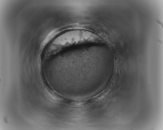 X0000097750295200803211658