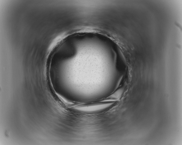 X0000097750296200803211658