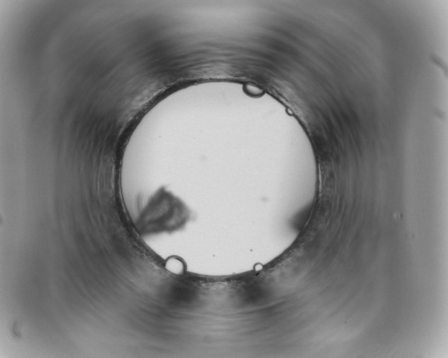 X0000097750301200803211658