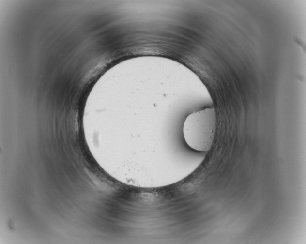 X0000097750302200803211658