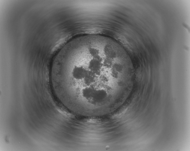 X0000097750303200803211658