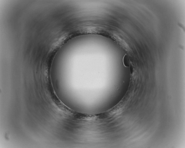 X0000097750306200803211657