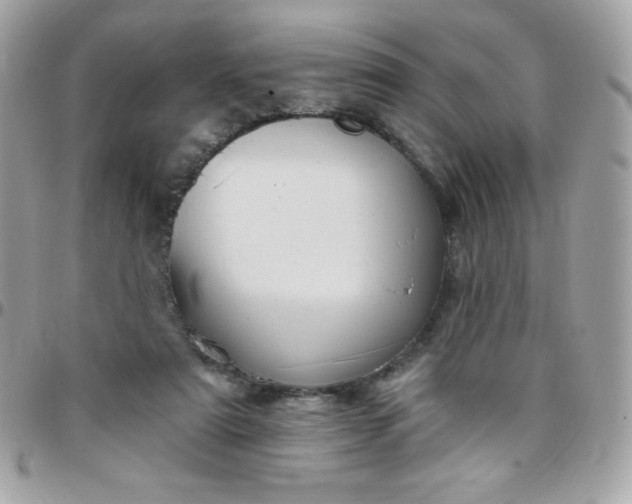 X0000097750307200803211657