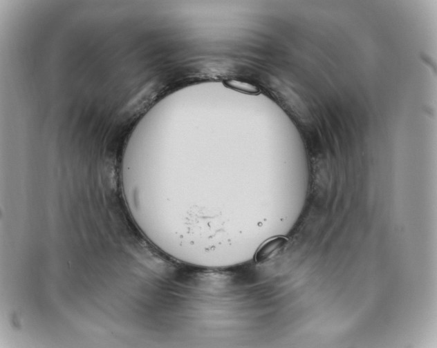 X0000097750313200803211657