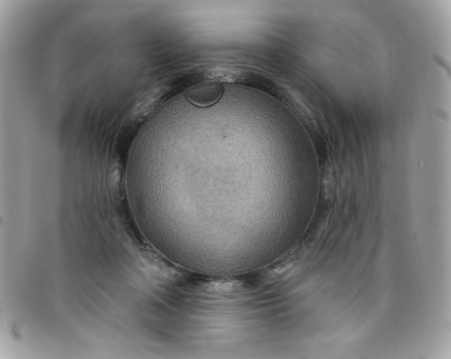 X0000097750314200803211657