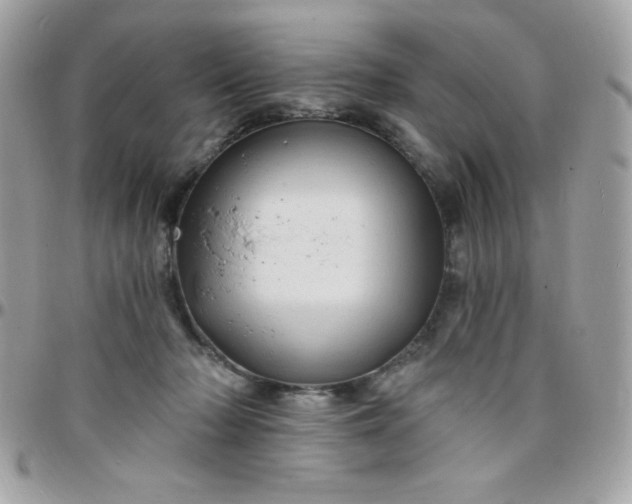 X0000097750318200803211657