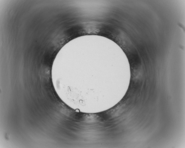 X0000097750321200803211657