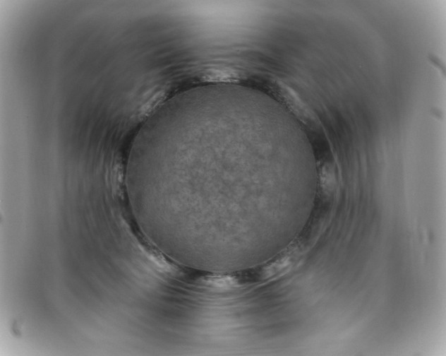 X0000097750322200803211657