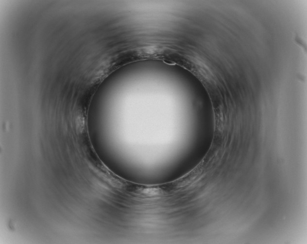 X0000097750324200803211657