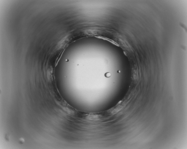 X0000097750332200803211657