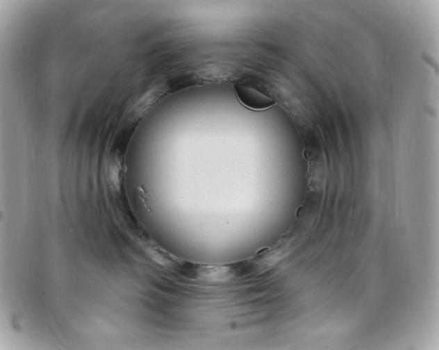 X0000097750334200803211657