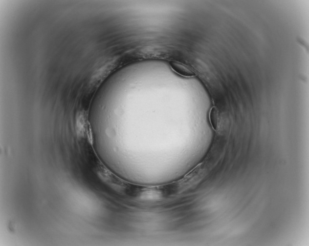 X0000097750335200803211657