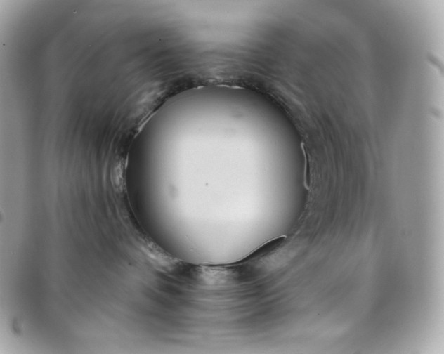 X0000097750336200803211657