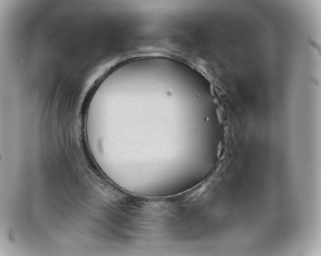 X0000097750342200803211656