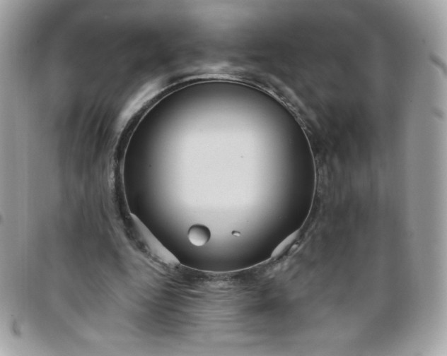 X0000097750344200803211656