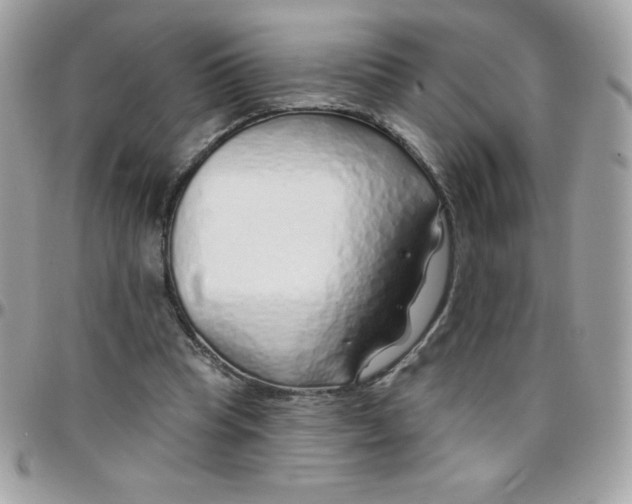 X0000097750345200803211656