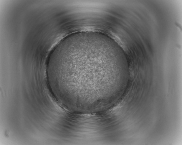 X0000097750347200803211657