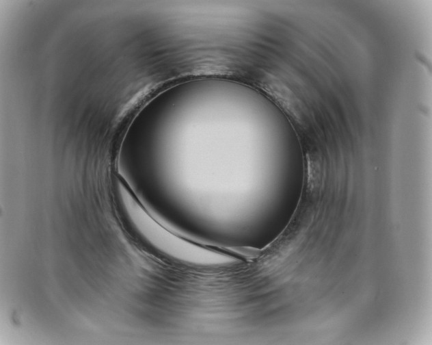 X0000097750348200803211657