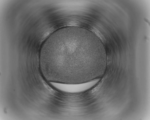 X0000097750349200803211657