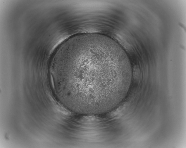 X0000097750351200803211657