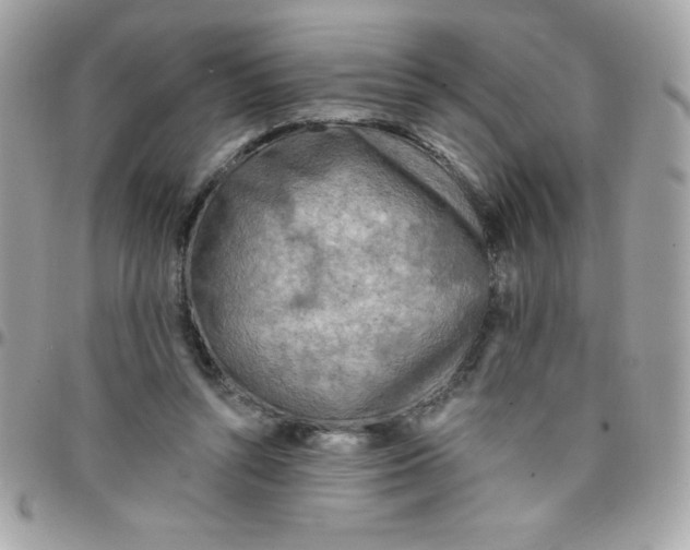 X0000097750352200803211657