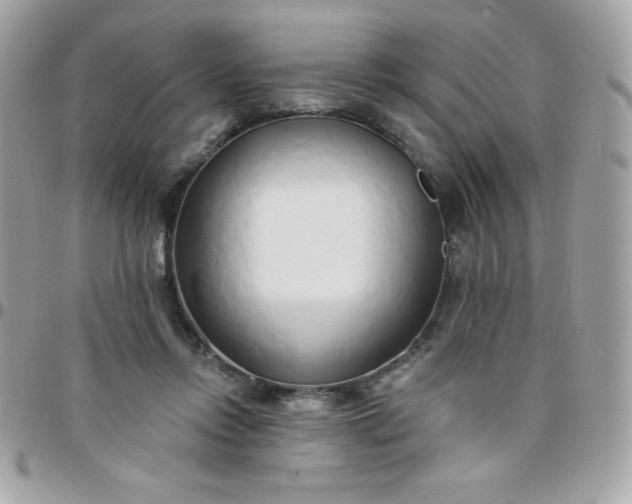 X0000097750358200803211657