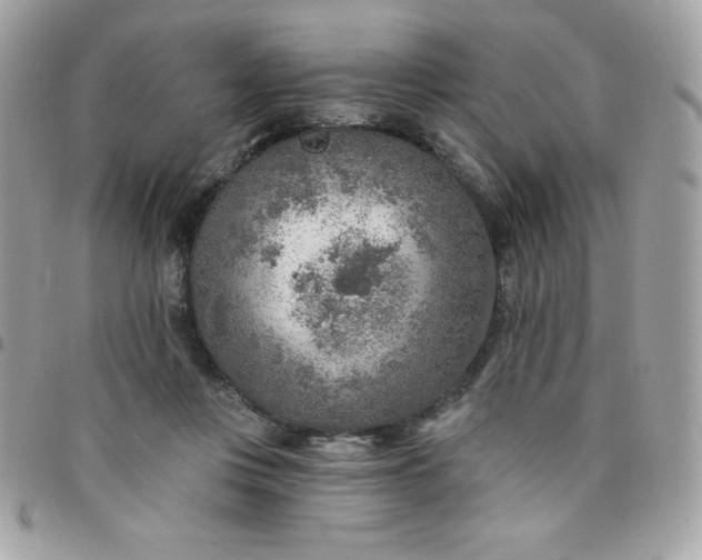 X0000097750359200803211657